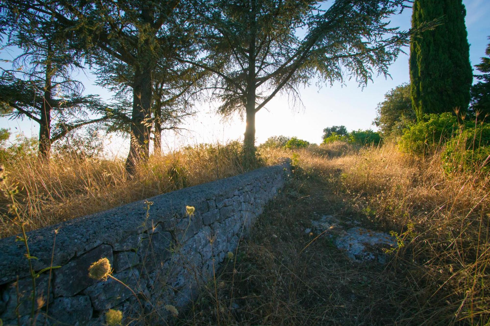 B&B In Fondo Alla Strada Fasano Kültér fotó